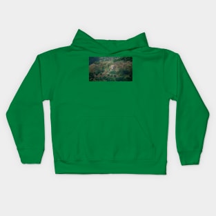 China, long ago Kids Hoodie